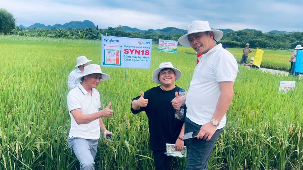 ĐÁNH GIÁ HIỆU QUẢ KINH TẾ GIỐNG LÚA LAI SYN18 TẠI NGHỆ AN: CƠ SỞ CHO CHIẾN LƯỢC NÔNG NGHIỆP BỀN VỮNG